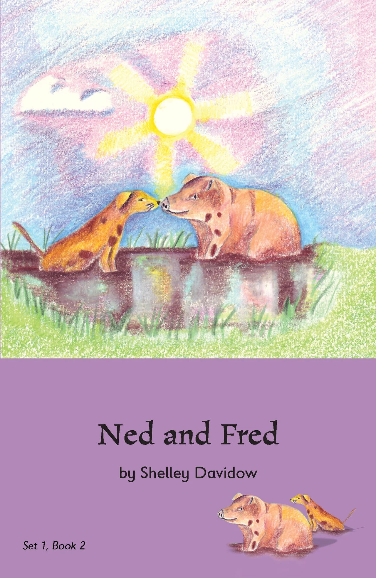 Early Phonetic Readers series by Shelley Davidow