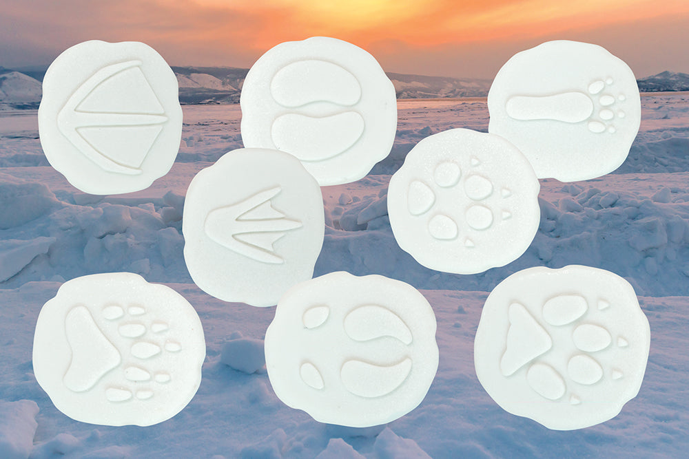 Let's Investigate – Polar Footprints