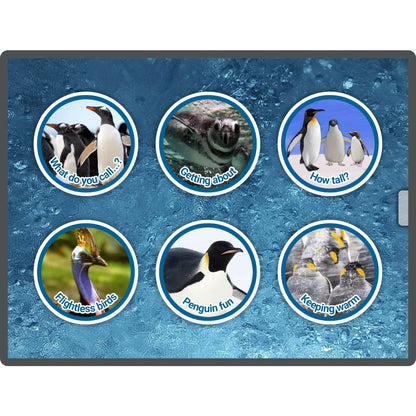 Early Years Pre-Coding Penguins App Software