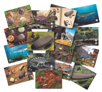 Prehistoric Teeth Set