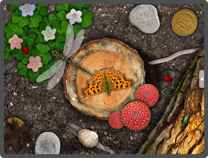 Sensory Worlds App: Woodland, Rock Pool, Garden