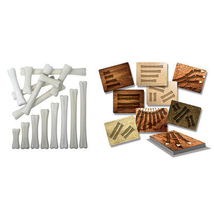 Dinosaur Bones Match and Measure Set with Activity Cards