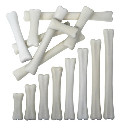 Dinosaur Bones Match and Measure Set