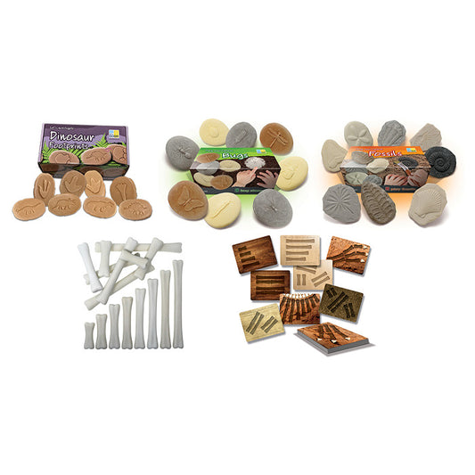 Let's Investigate - Palaeontology Set