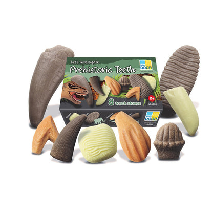 Let's Investigate - Prehistoric Teeth