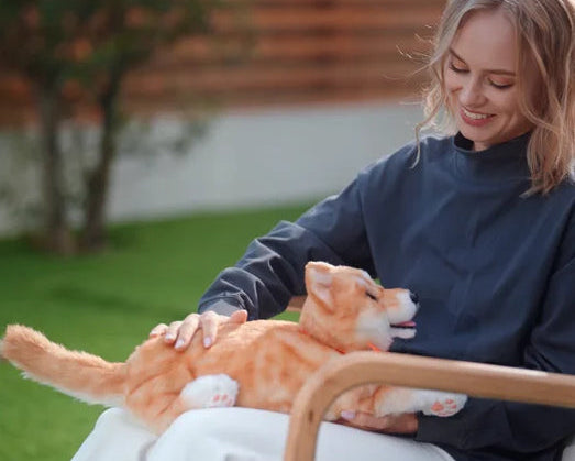 MetaDog: Your Interactive Robo-Puppy