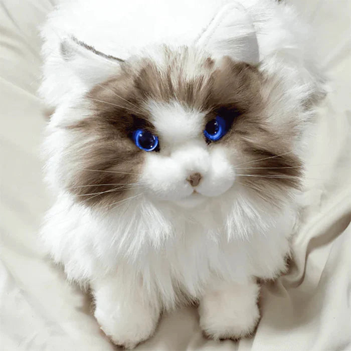 MetaCat: Your Interactive Robo-Cat