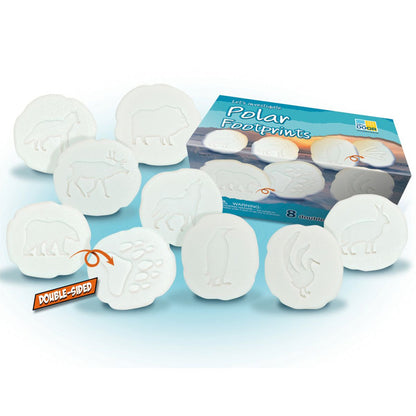 Let's Investigate – Polar Footprints