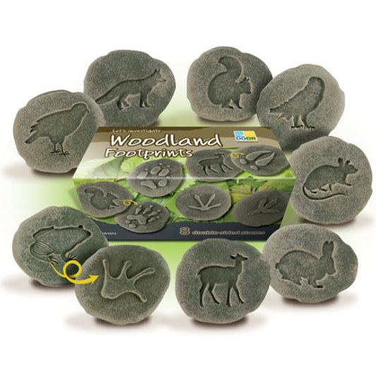 Let's Investigate – Woodland Footprints